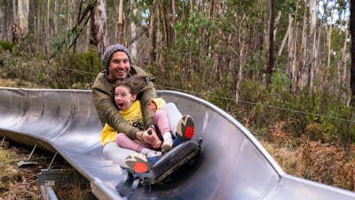 Father and daughter ride metal toboggan ride with big grins and hair flying in the wind