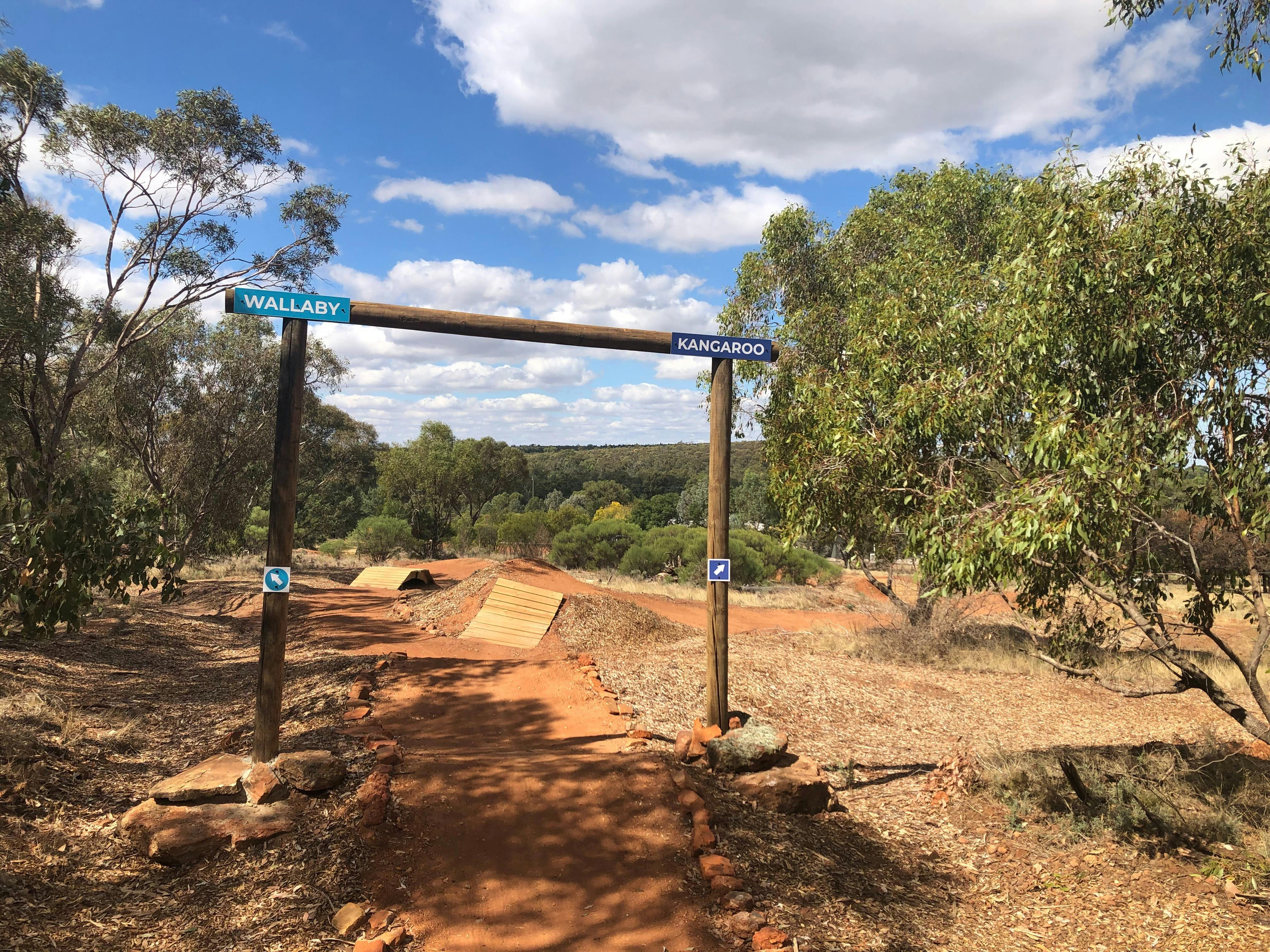 Griffith Mountain Bike Track