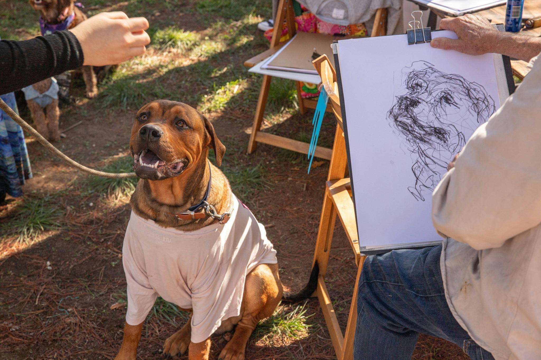 Paws Party Canberra