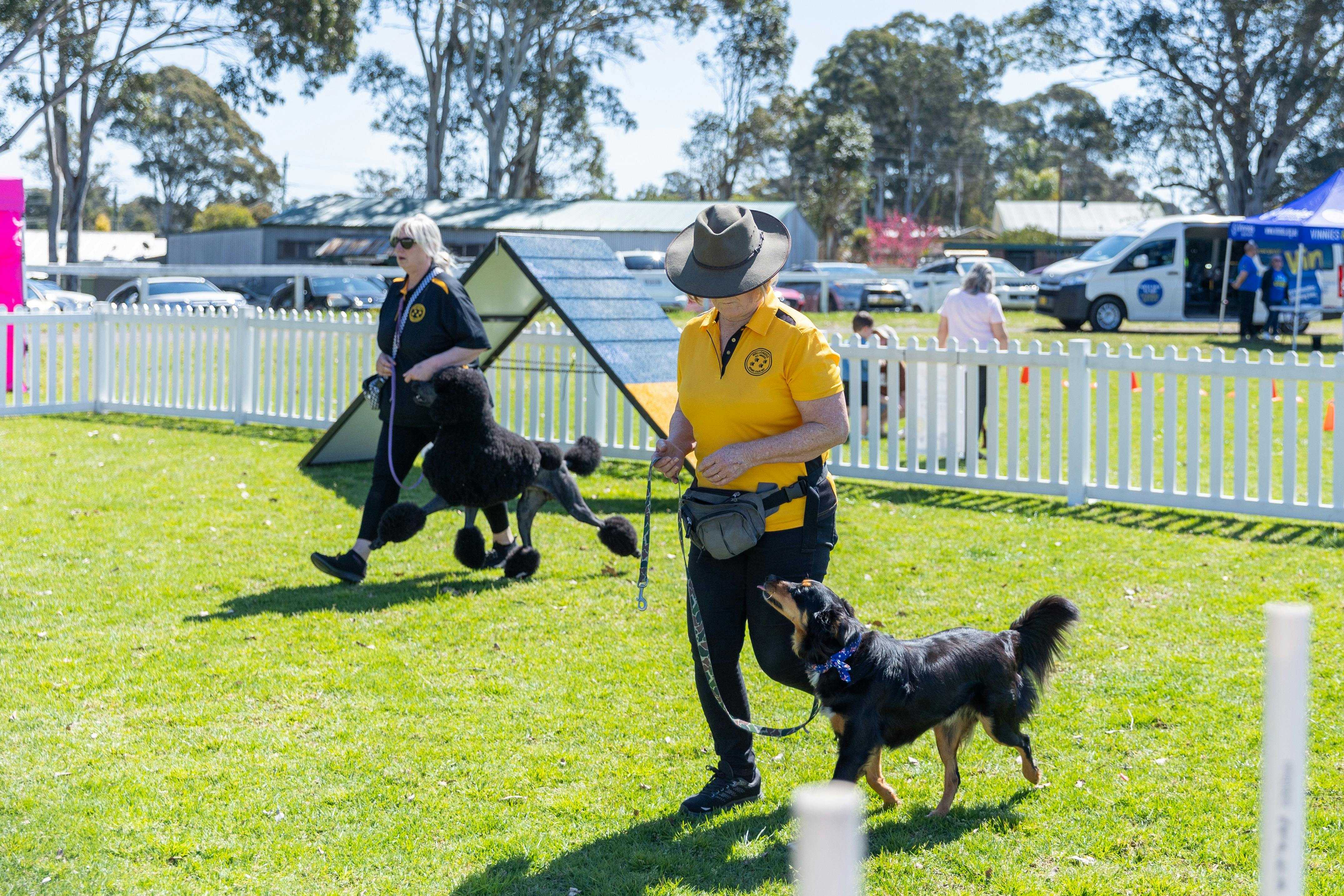 Agility Demonstrations at Dilly Doggy Day Out