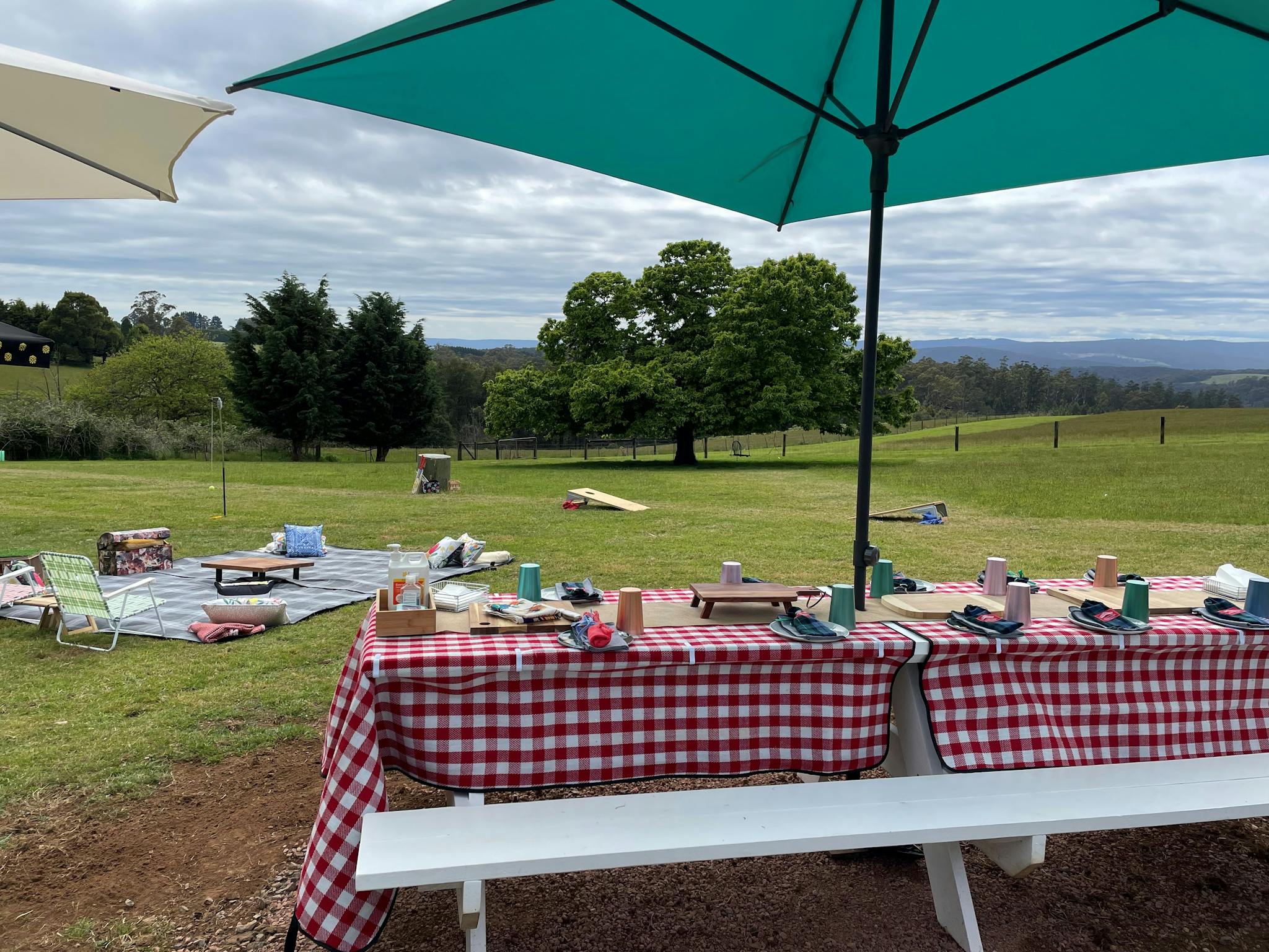 A picnic table with a red and white checked table cloth with a blue umbrella in a paddock