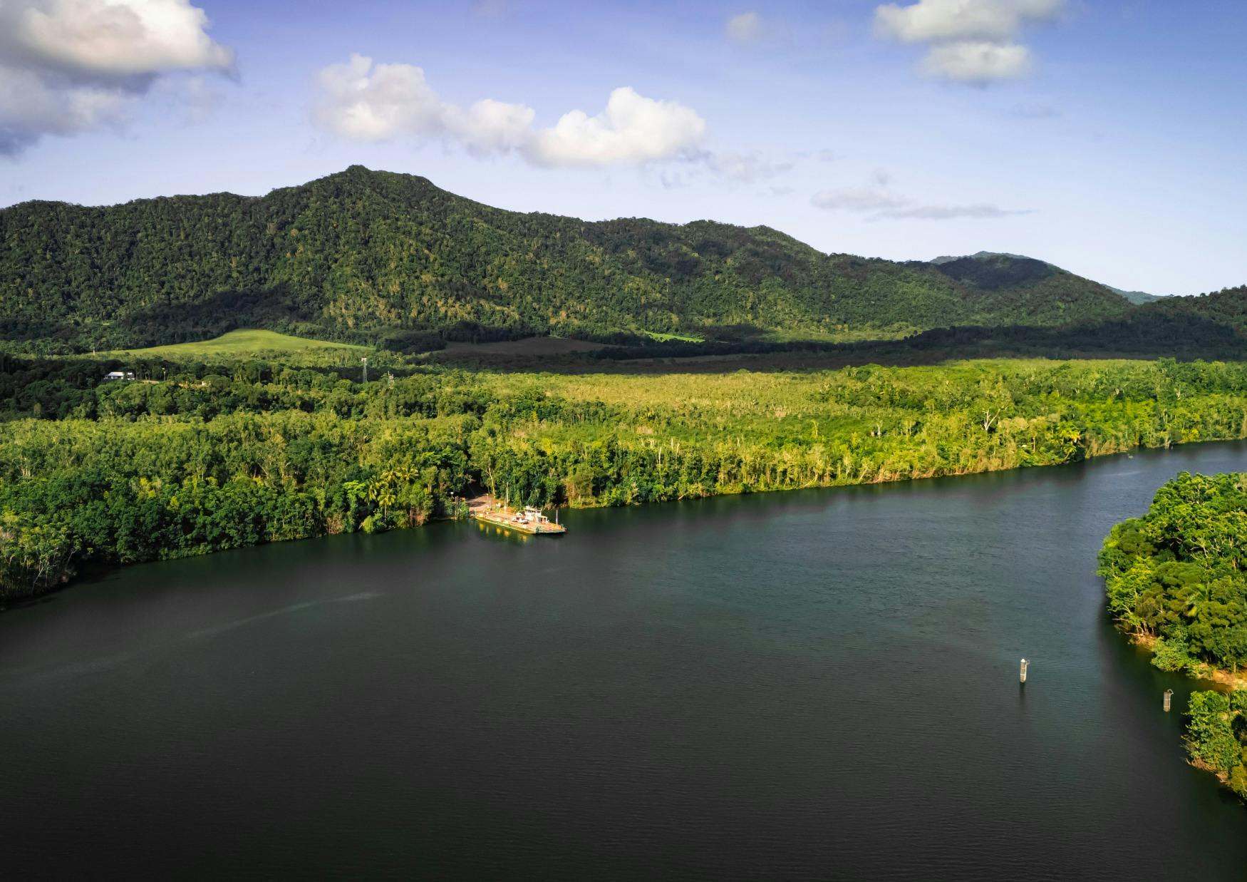 Daintree River