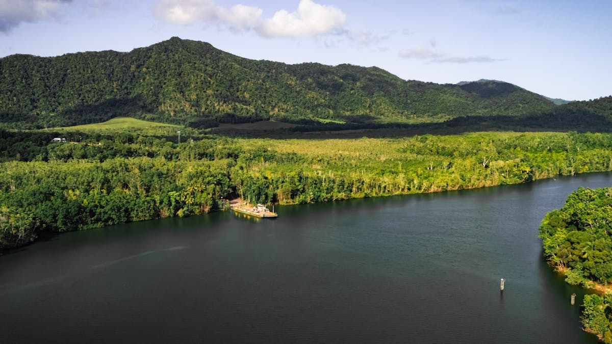 Daintree River