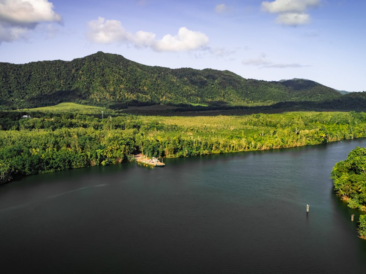 Daintree River