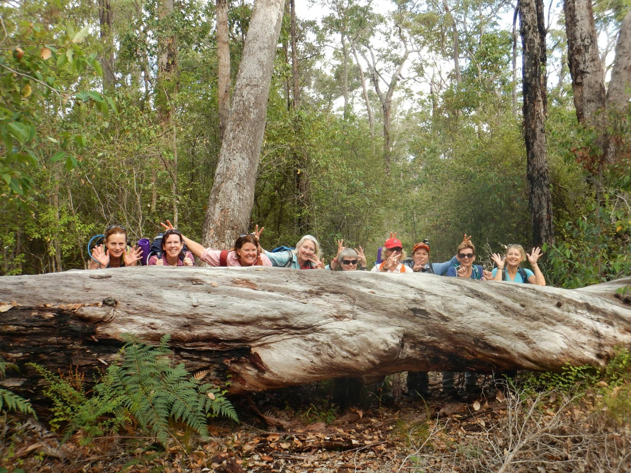 Park Trek Walking Holidays, Kalamunda, Western Australia