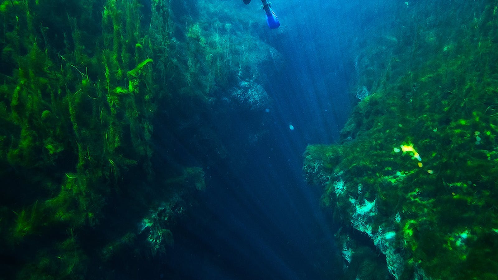 Piccaninnie Ponds Conservation Park