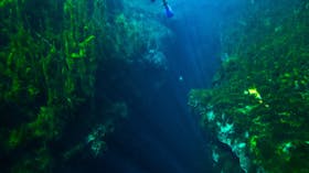 Piccaninnie Ponds Conservation Park
