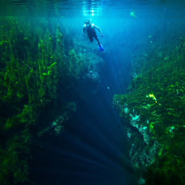 Piccaninnie Ponds Conservation Park