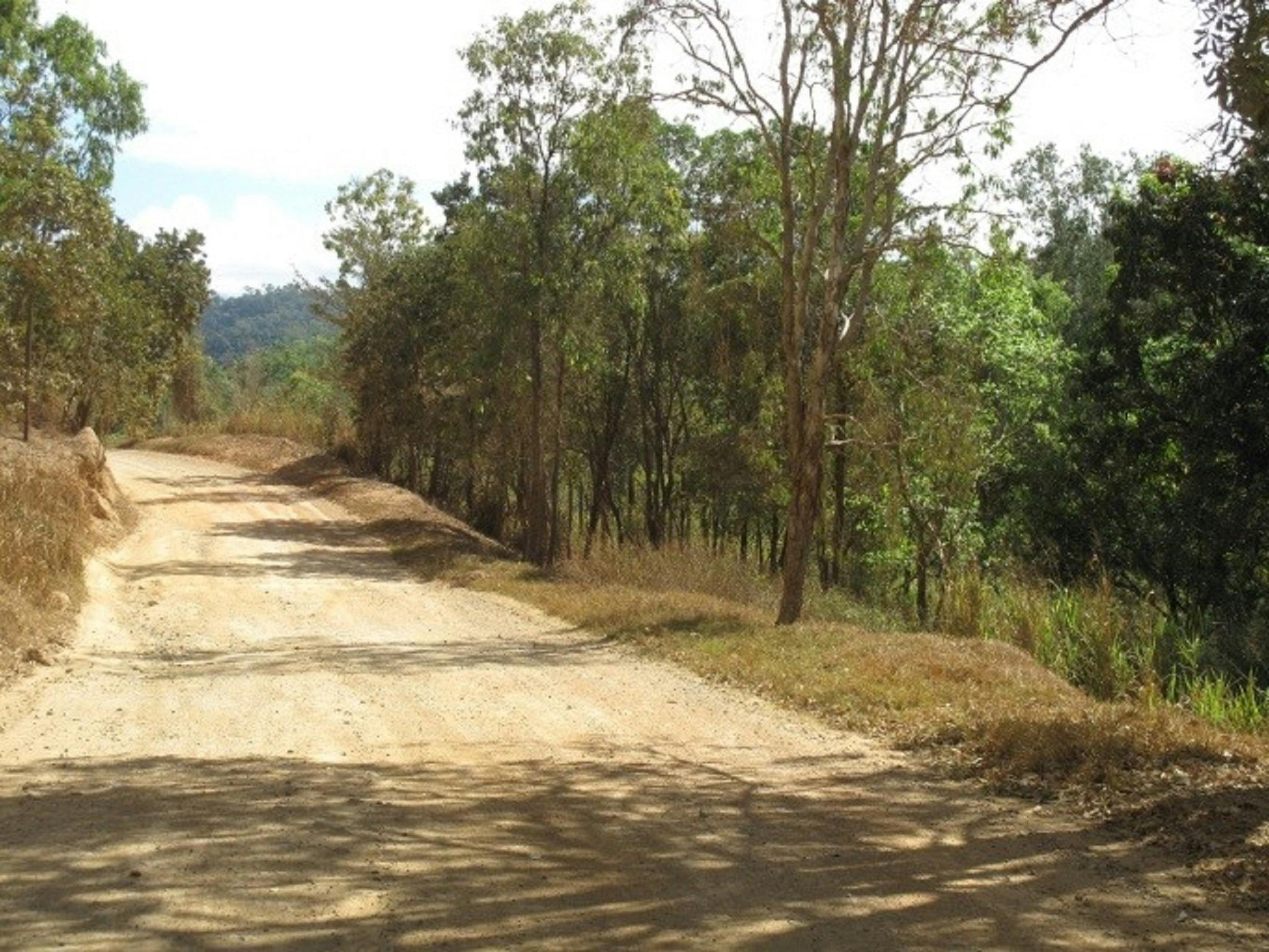 The Bloomfield Track Journey Queensland