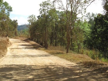 The Bloomfield Track