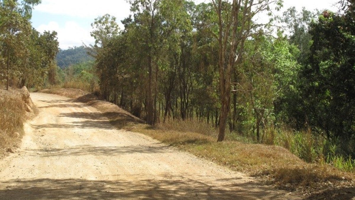 The Bloomfield Track