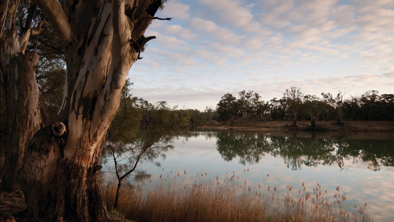 Murray-Kulkyne Regional Park