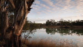 Murray-Kulkyne Regional Park