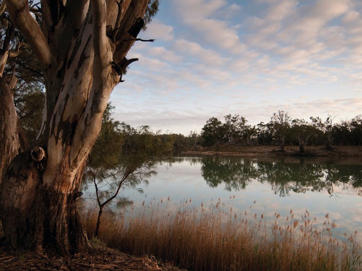 Murray-Kulkyne Regional Park