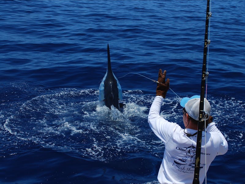 calypso fishing tours