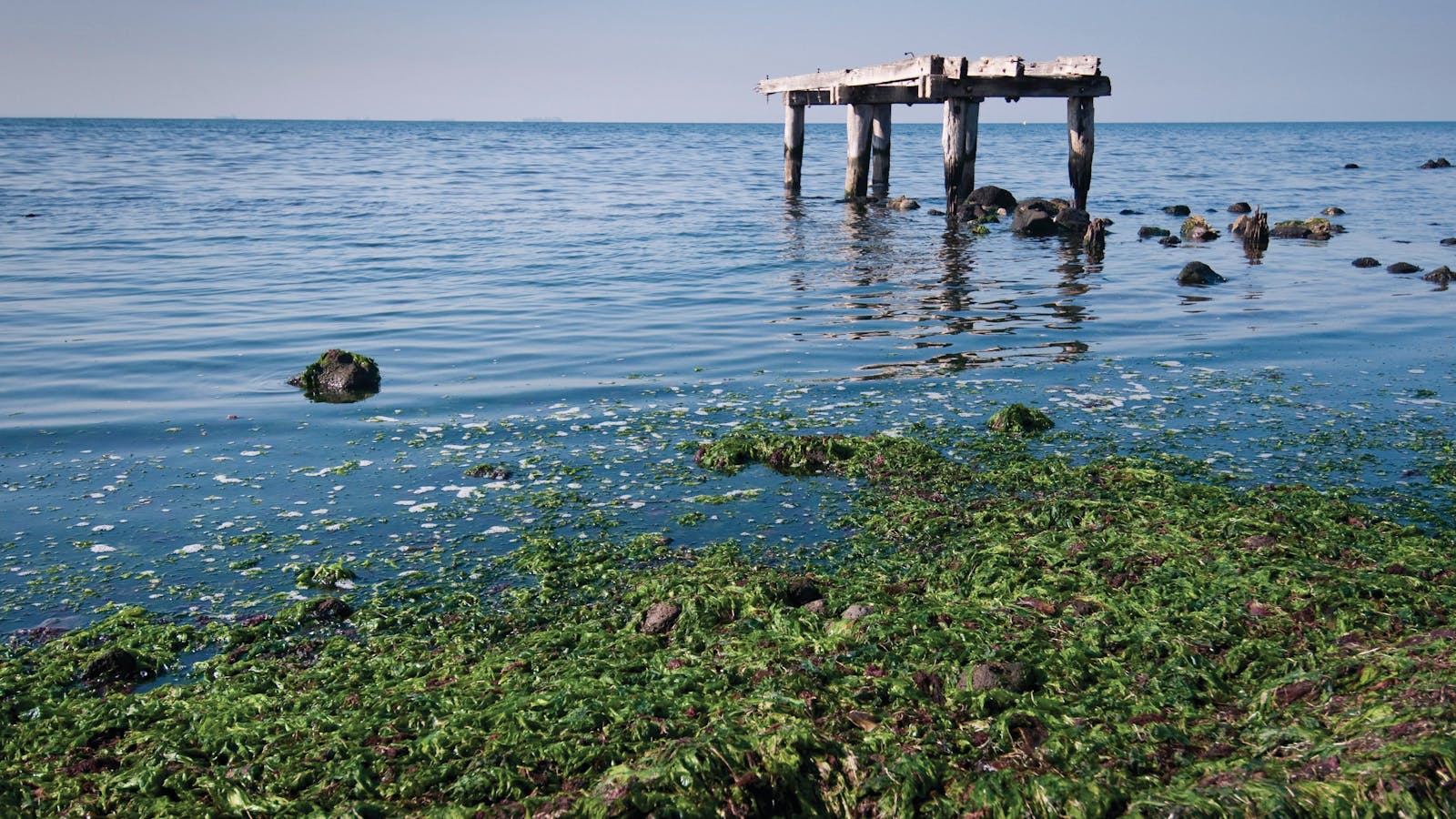 Point Cook Coastal Park