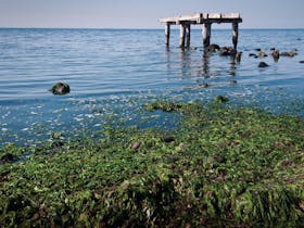 Point Cook Coastal Park