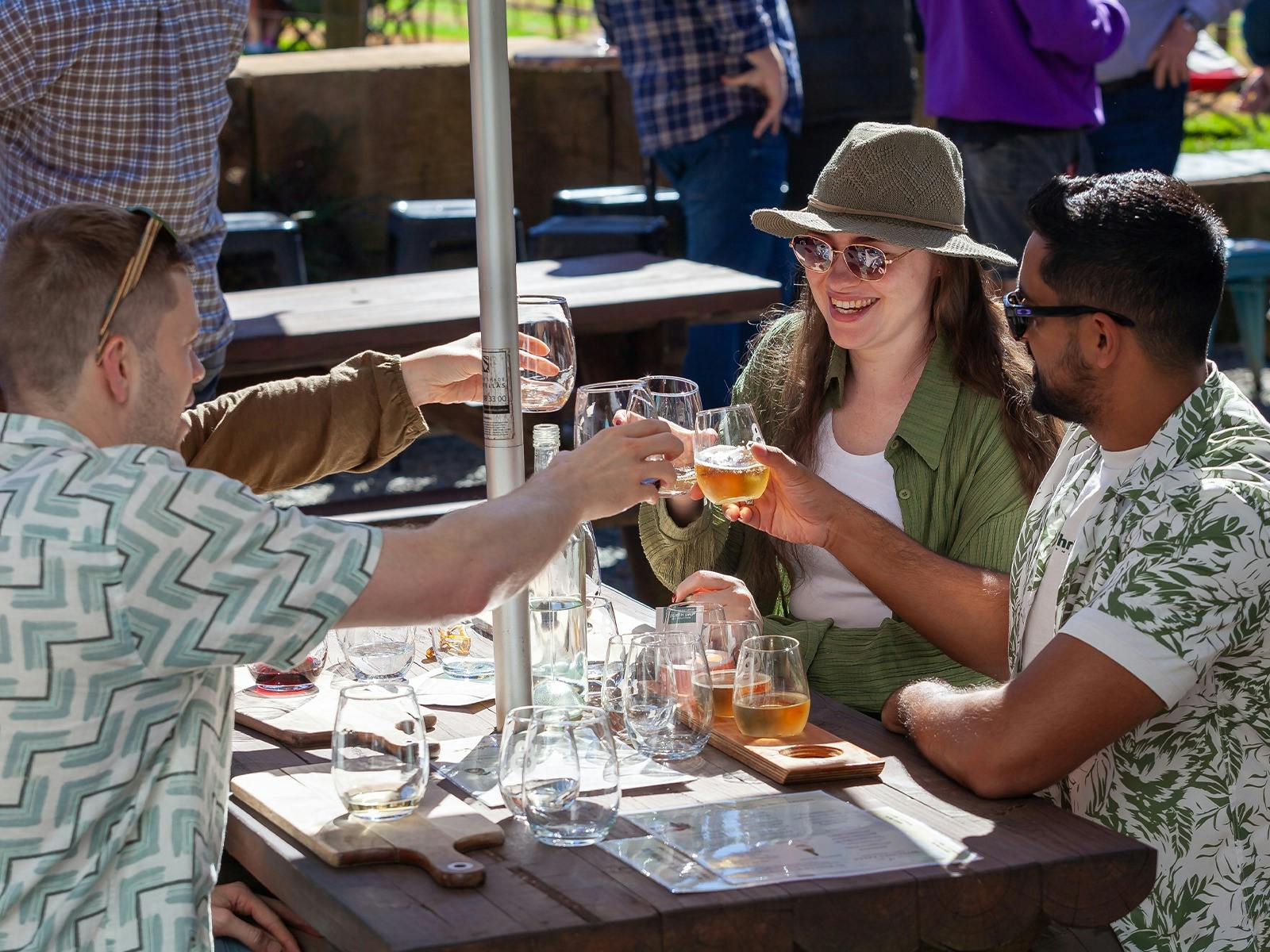 Four people sitting at an outdoor table, clinking wine glasses together and smiling at each other.