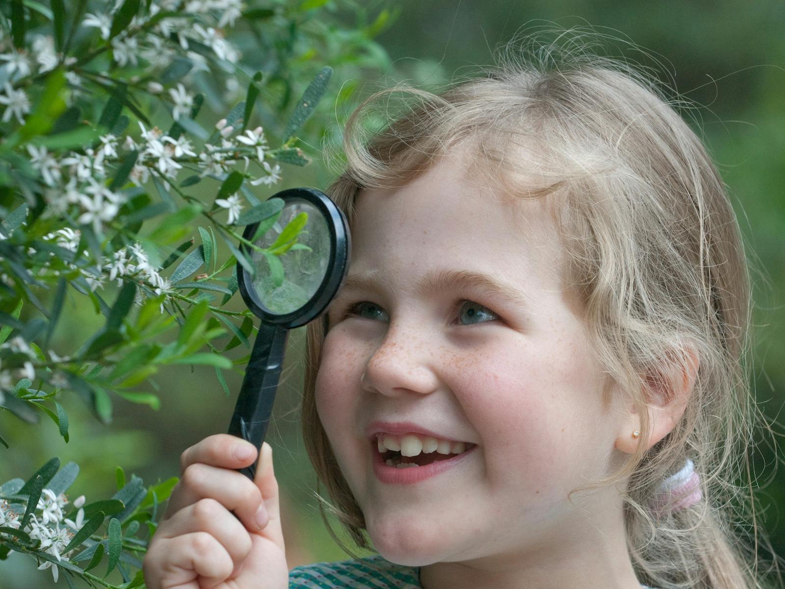 Image for Garden Safari - Kids Self Guided Treasure Quest