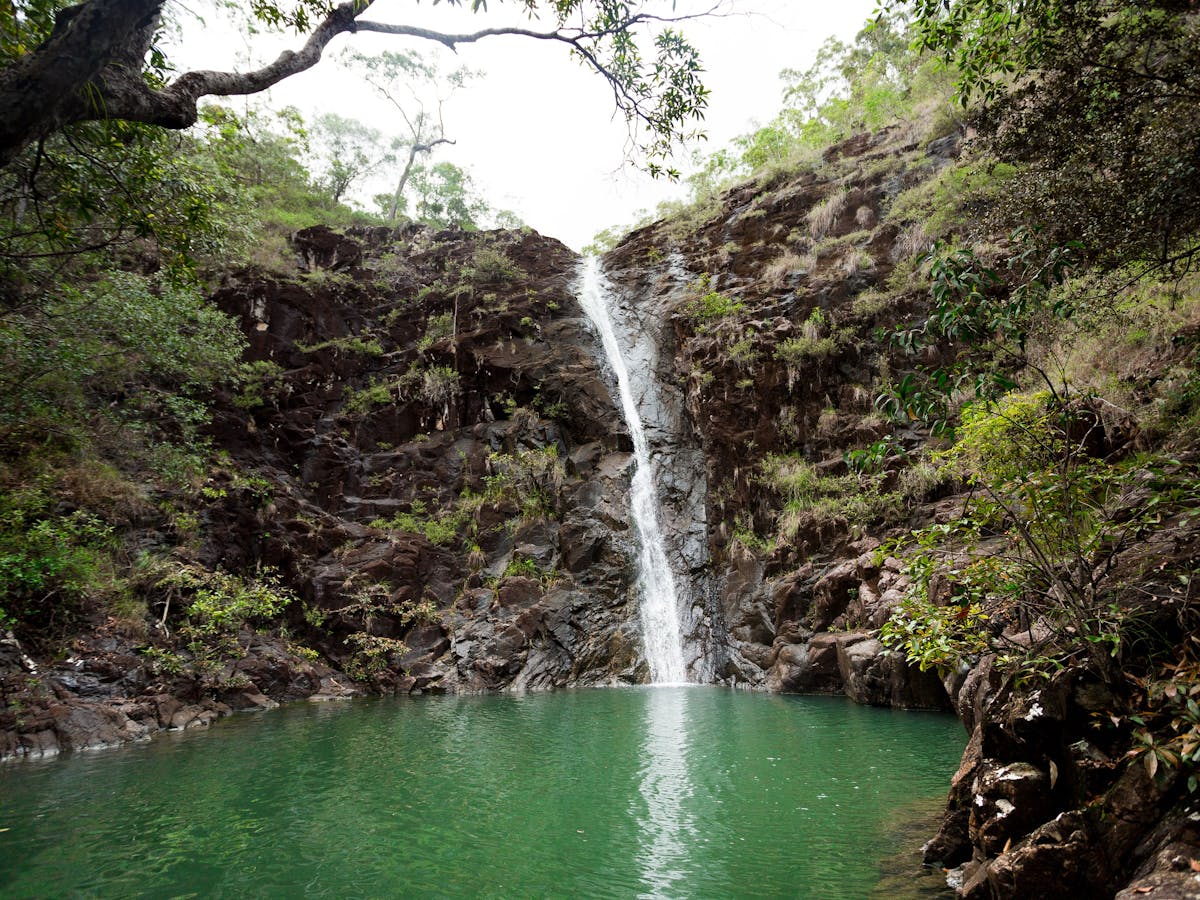 Attie Creek Falls on the Cardwell Forest Drive