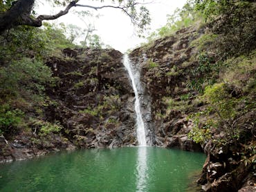Attie Creek Falls on the Cardwell Forest Drive