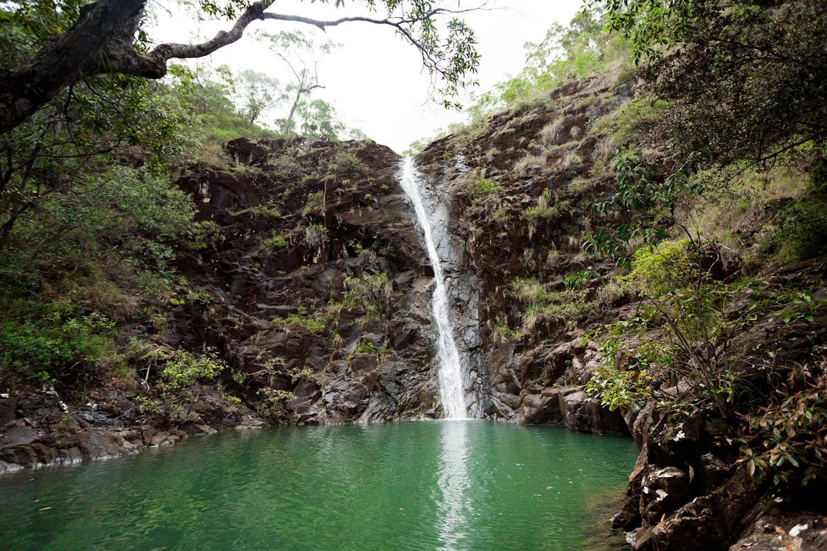 Attie Creek Falls on the Cardwell Forest Drive