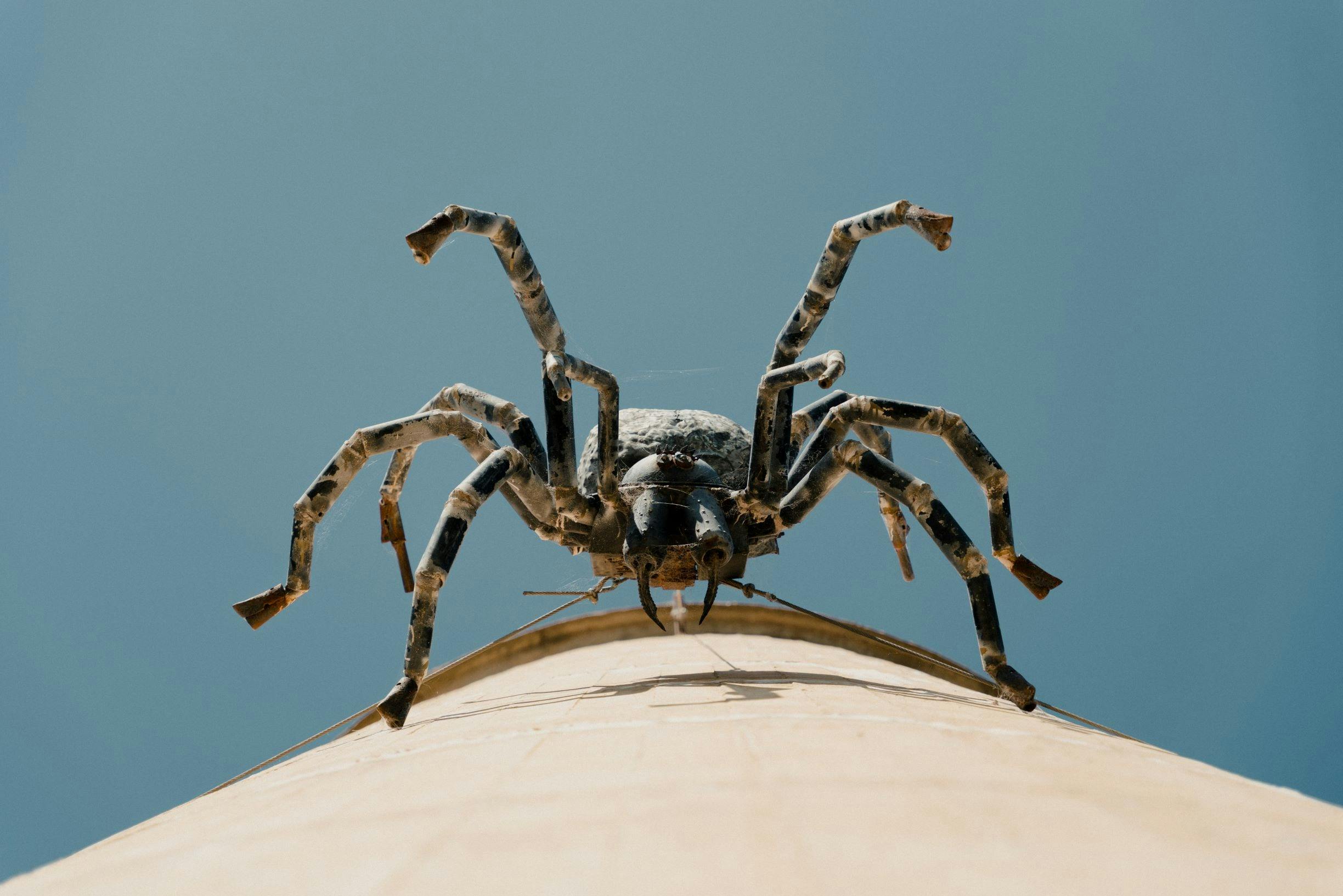 Spider sculpture made out of old metal on the side of the Urana grain town