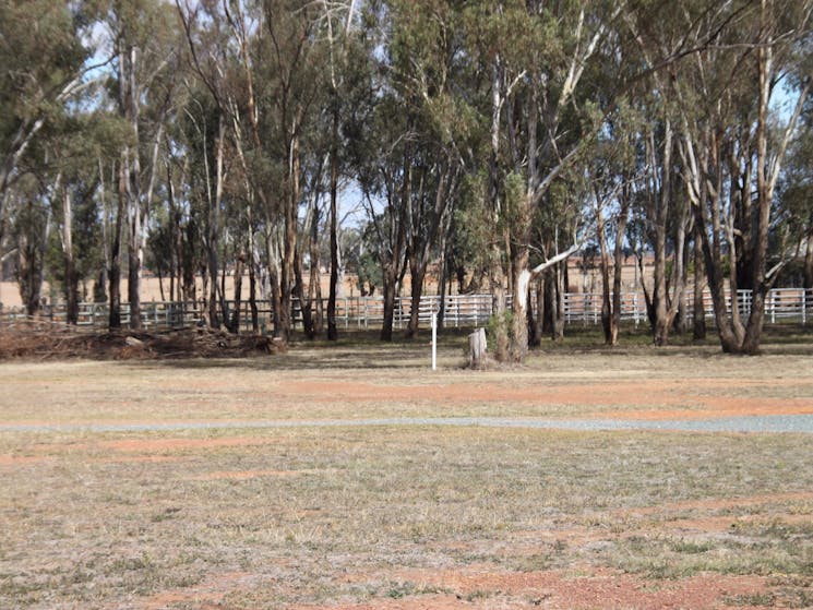 Peak Hill Showground