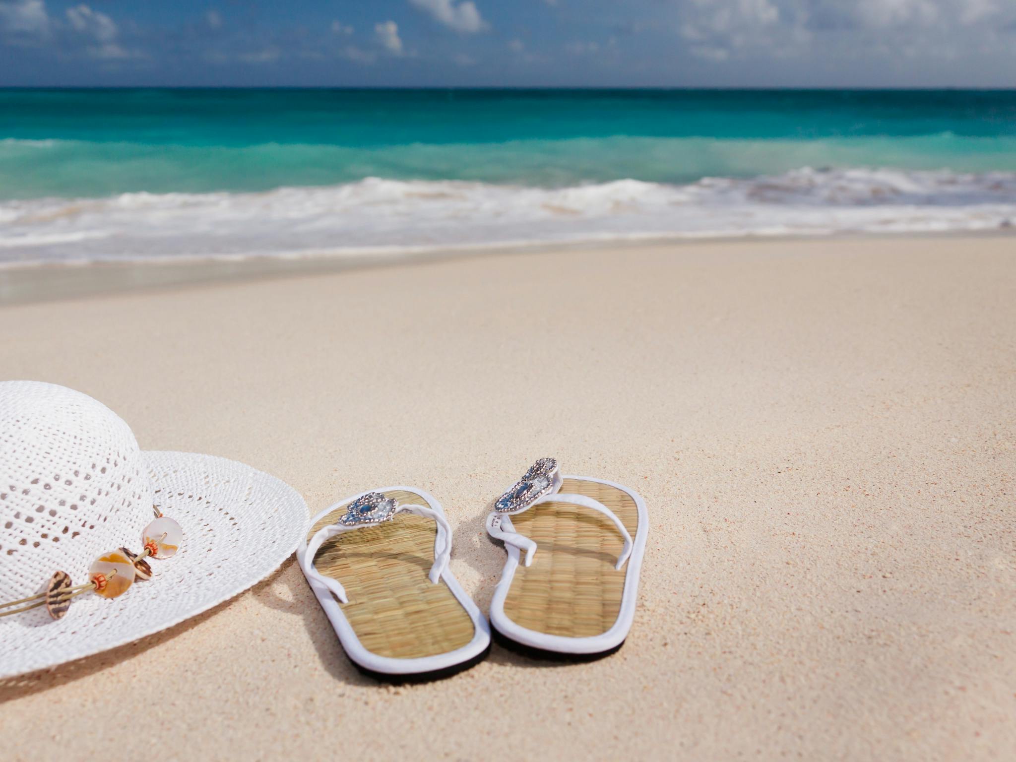 Iguana Beachwear Gifts & Home Decor
