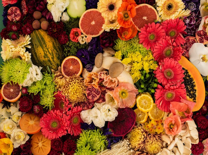 Barossa Contemporary Festival for the Curious Preview