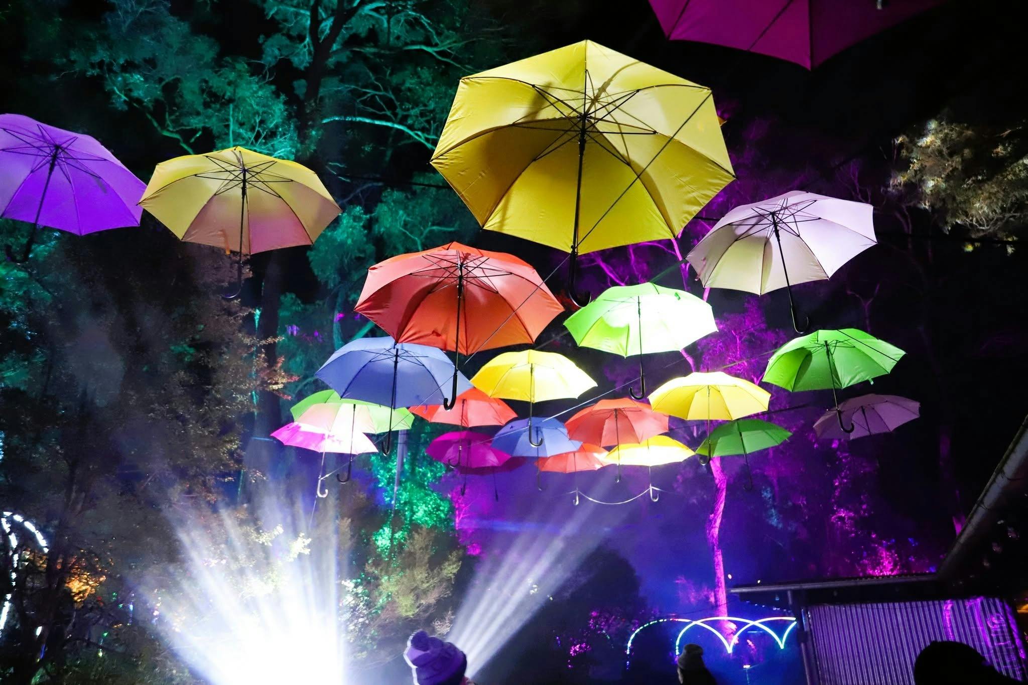 Enchanted Sanctuary Umbrellas