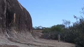 Totadgin Conservation Park