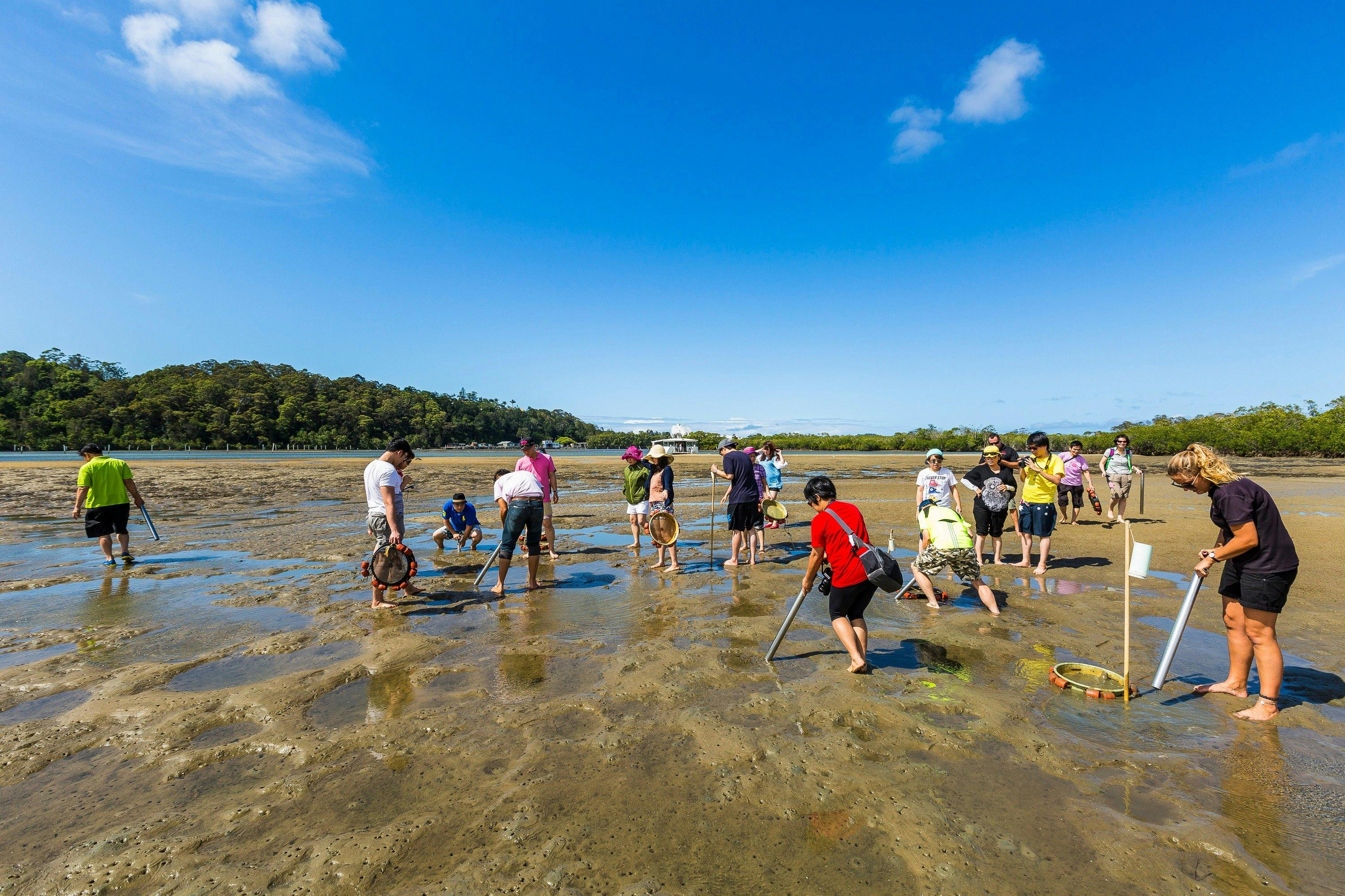 Explore the riverbanks as you catch live-fishing bait!
