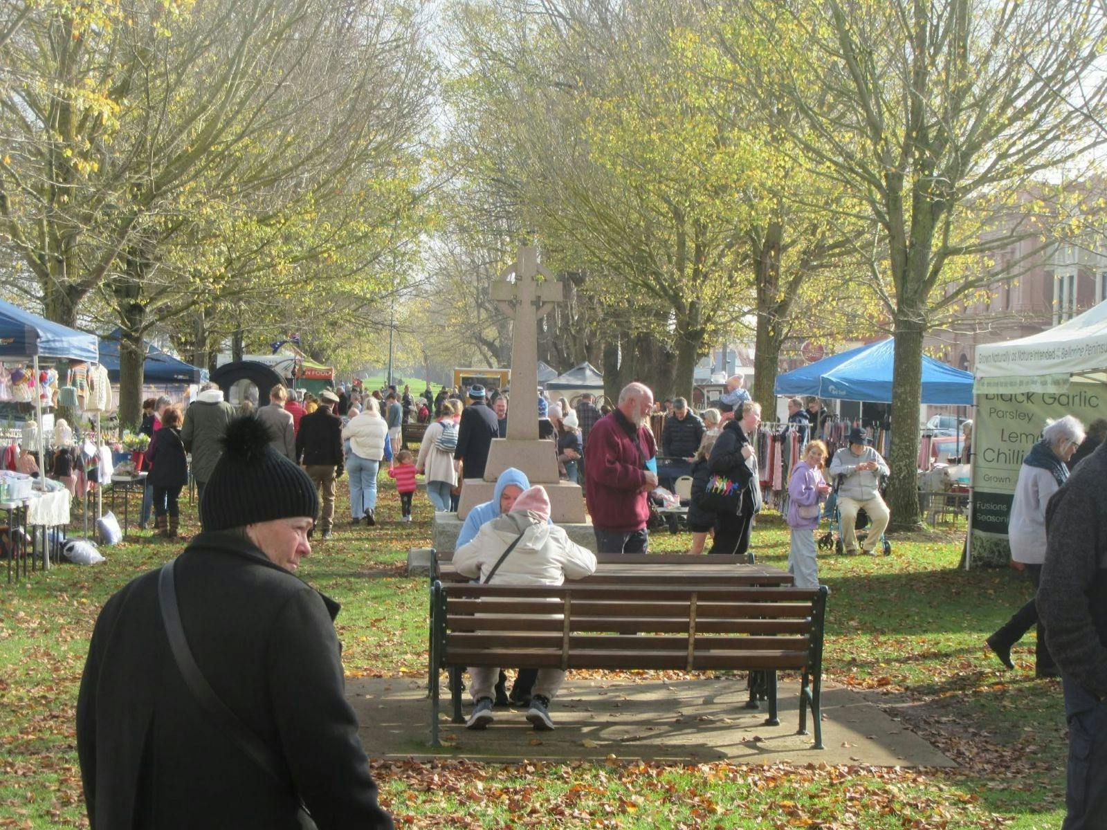 people walking along the avenue of elms on market day