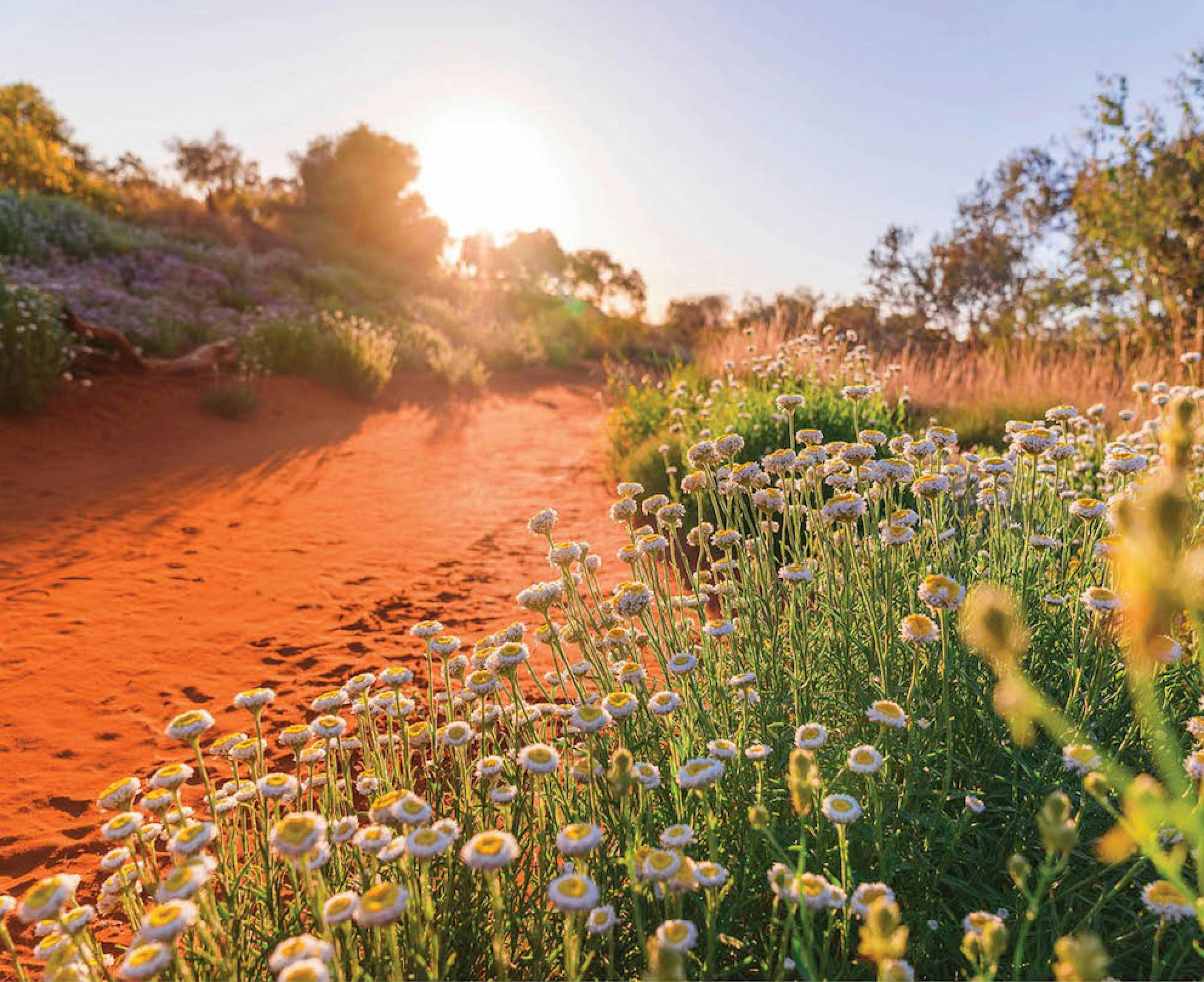 Madigan's Function Centre