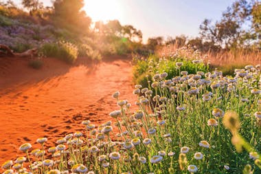 Madigan's Function Centre