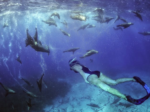 Snorkelling Barunguba Montague Island