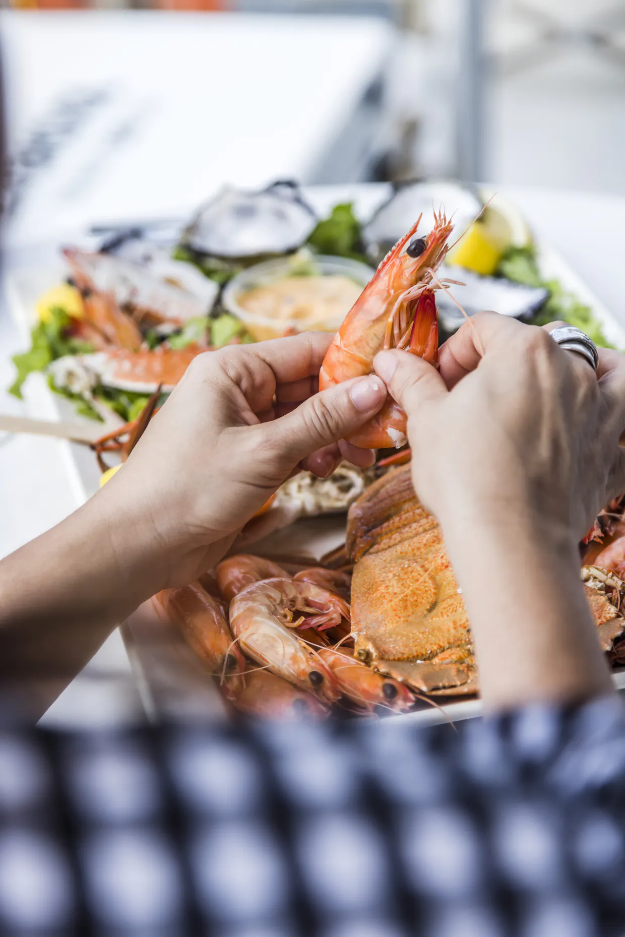 Winter Seafood Package Deal