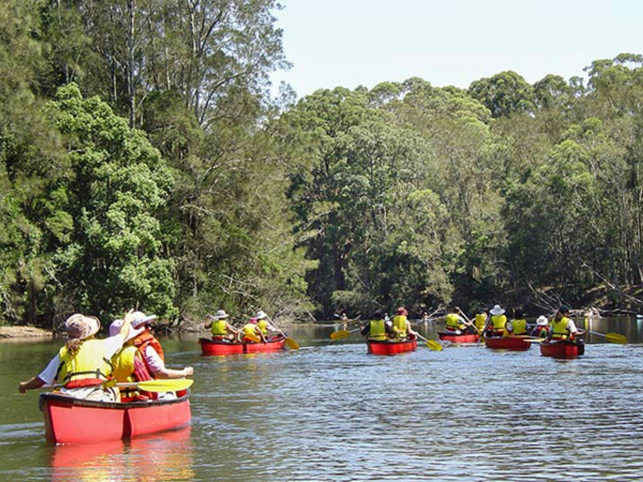 Bonville Creek