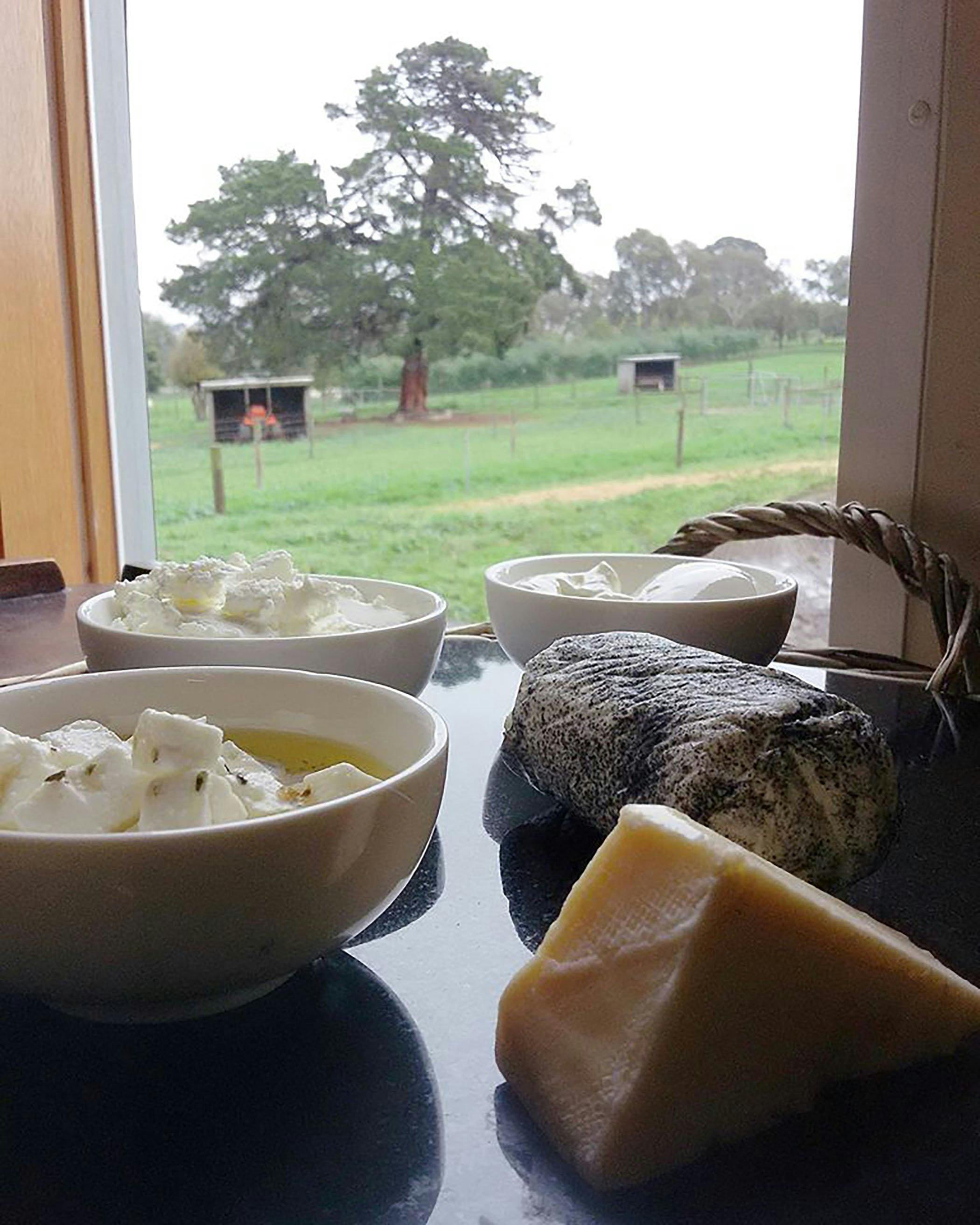 Drysdale Cheeses
