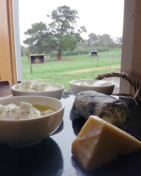 Drysdale Cheeses