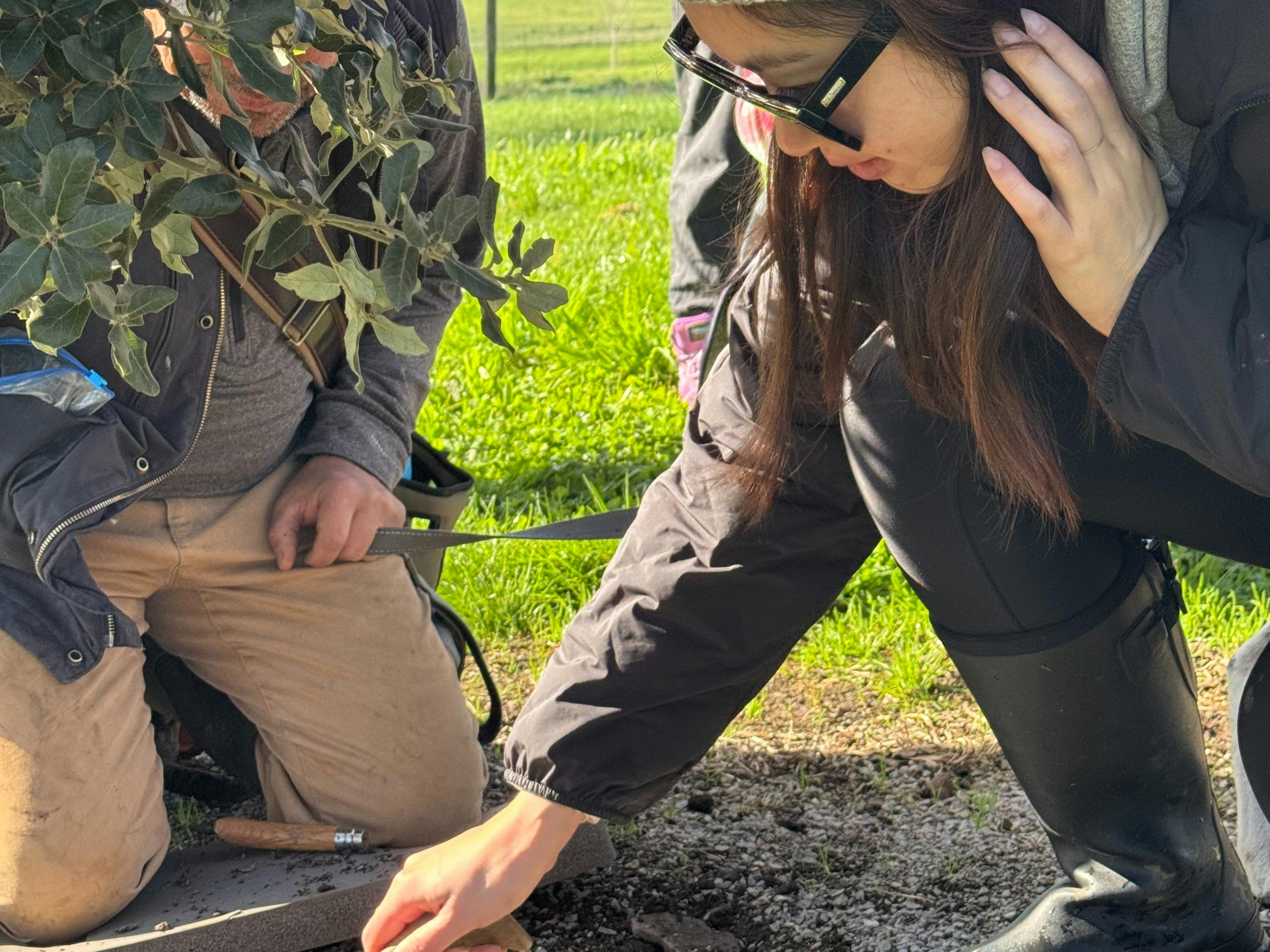 girl finding truffle