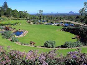 Waterfalls, ponds and stunning Glasshouse Mountain views create an awesome experience