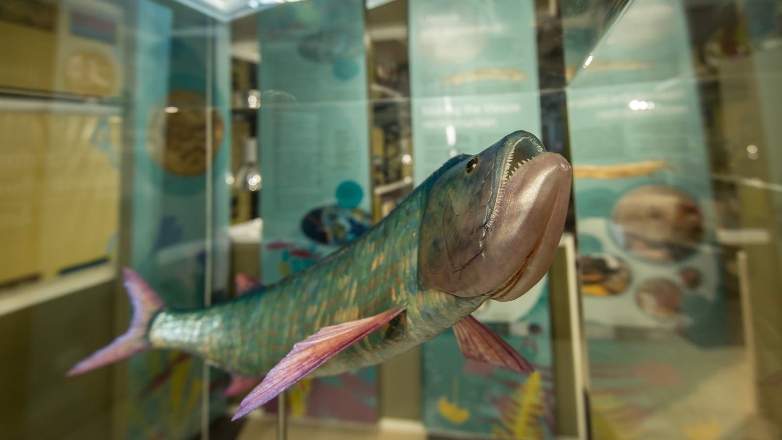 Outer Barcoo Interpretation Centre