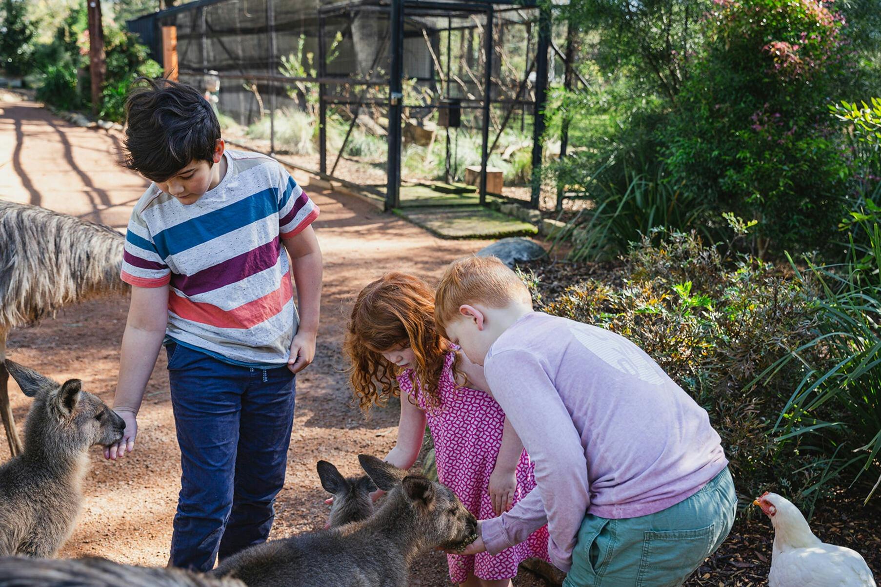 호주 야생동물 보호구역