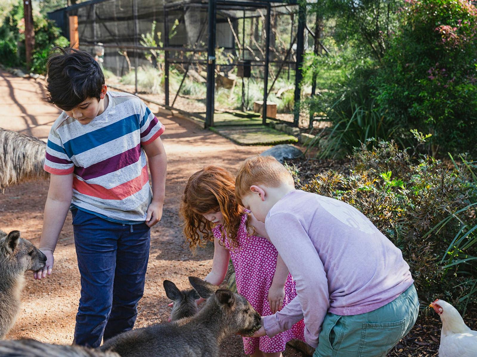 호주 야생동물 보호구역