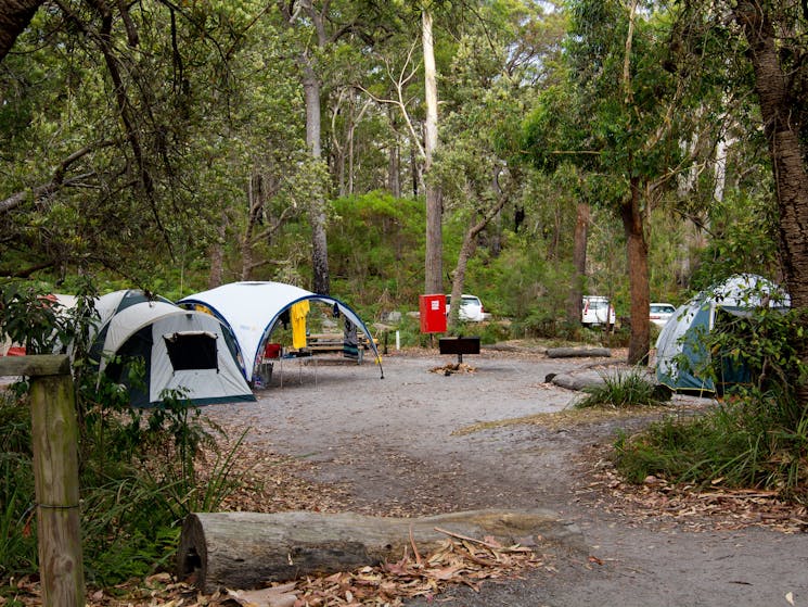 Bristol Point campground, Booderee National Park