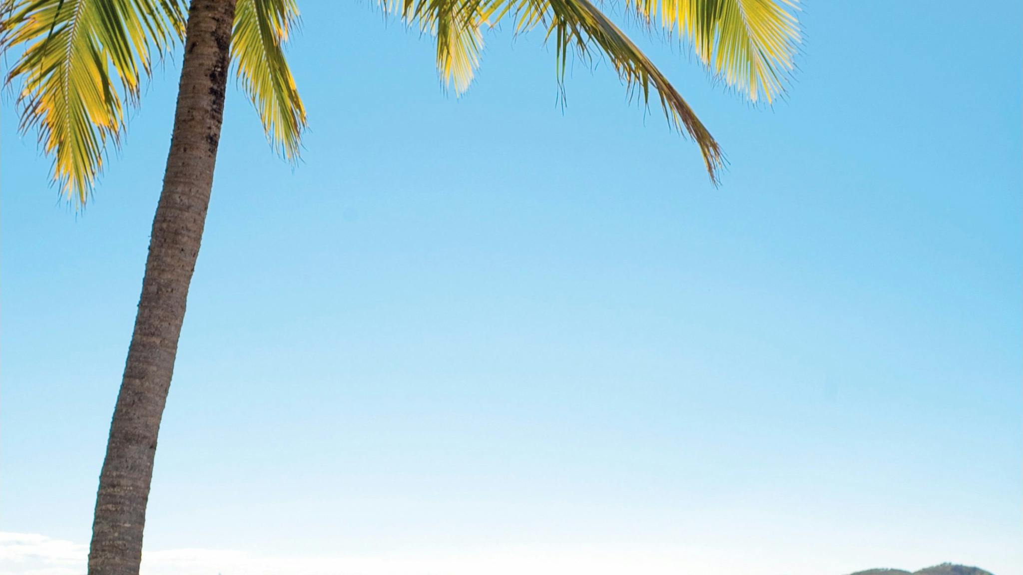 Seaforth Destinationinformation Queensland