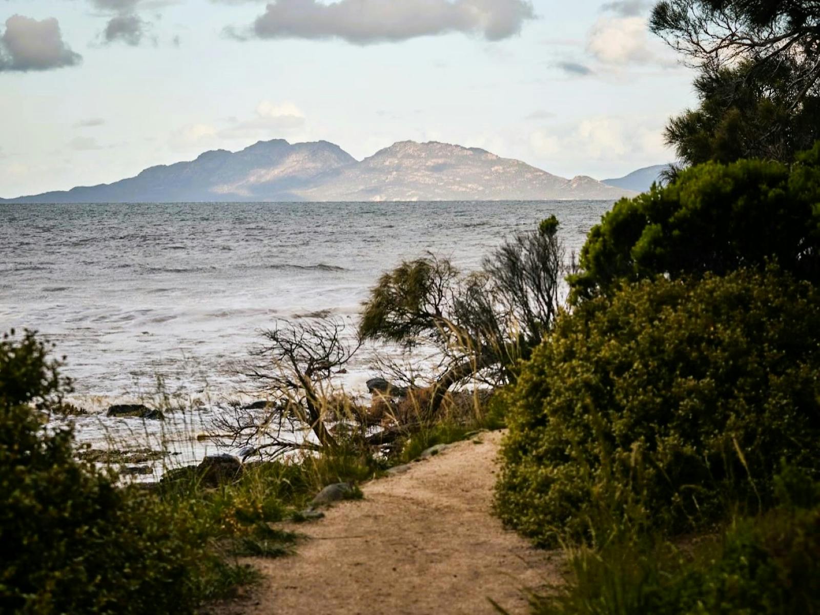Hazards view
