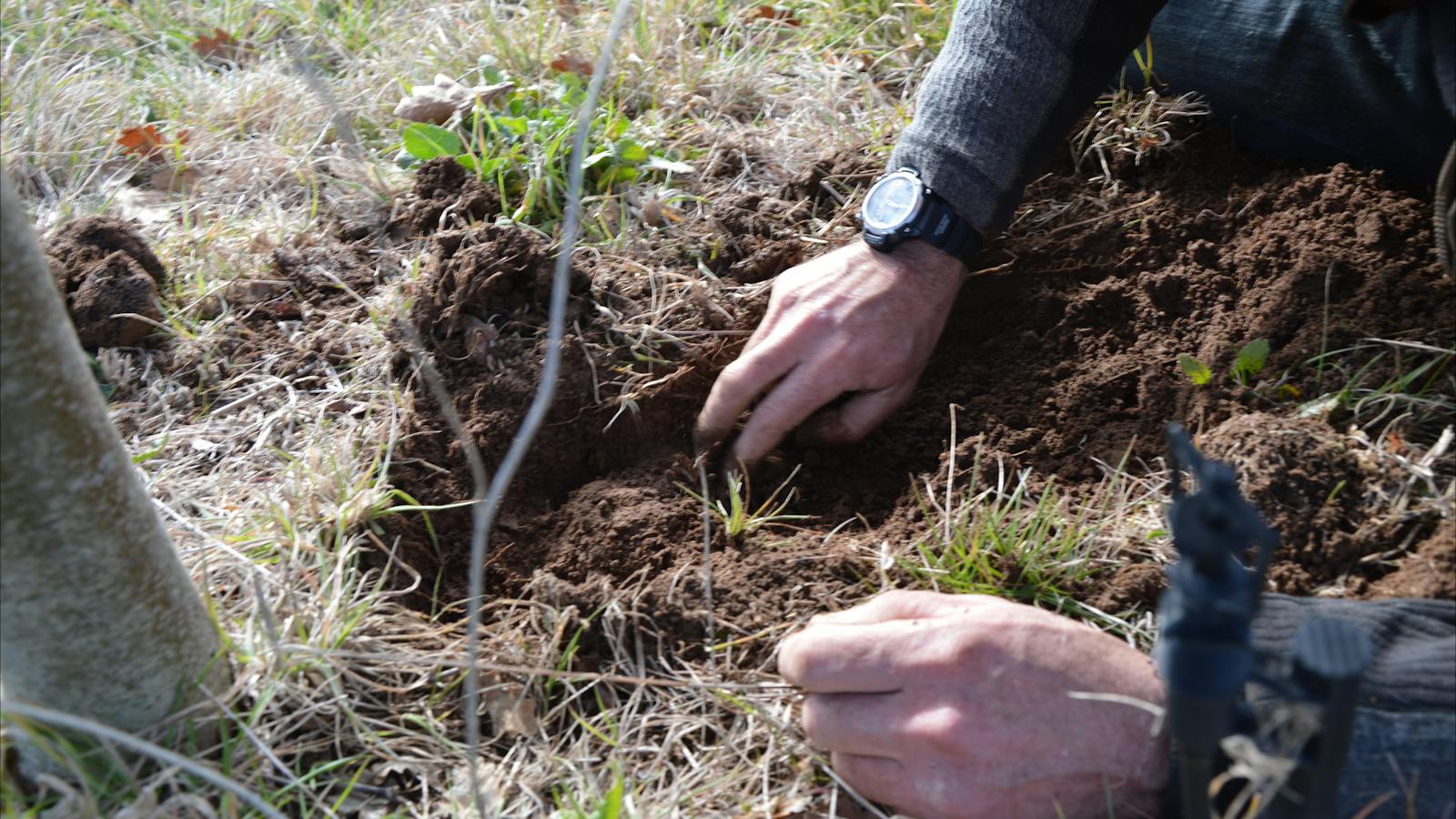 Digging for Black gold